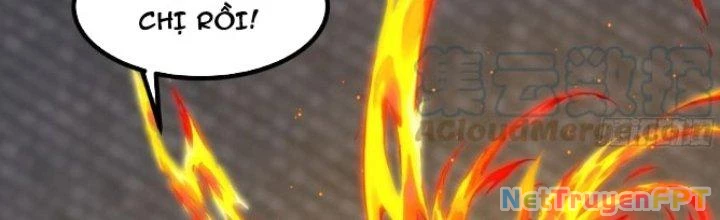 Trở Về Làm Đại Lão Thời Mạt Thế Chapter 303 - 45