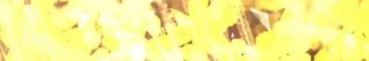 Dị Thú Mê Thành Chapter 59 - 92