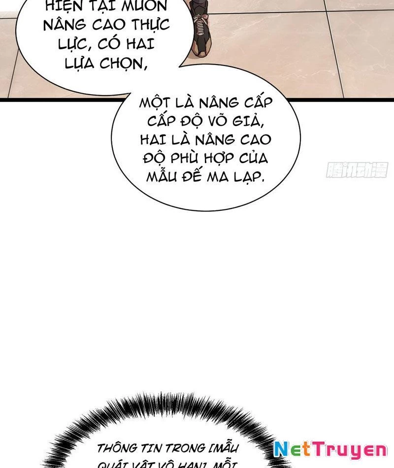 Cao Võ Tiến Hóa: Bắt Đầu Thức Tỉnh Quái Thú Chi Vương Chapter 2 - 16