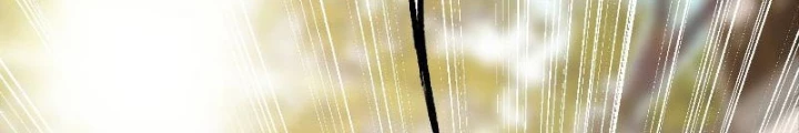 Tiêu Rồi, Ta Bị Mỹ Nữ Võ Thần Khóa Lại Rồi Chapter 39 - 22