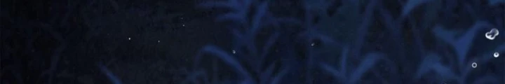Những Đứa Trẻ Của Rune Chapter 22 - 16