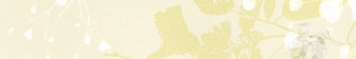 Những Đứa Trẻ Của Rune Chapter 27 - 205