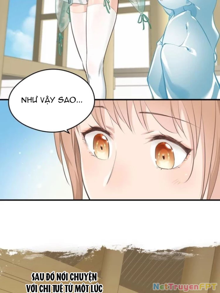 Tối Cường Thiên Đế Hệ Thống Chapter 3 - 19