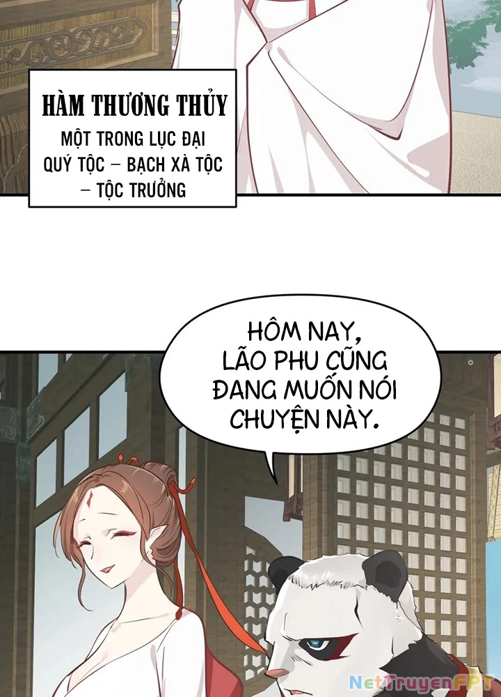Tối Cường Thiên Đế Hệ Thống Chapter 51 - 13