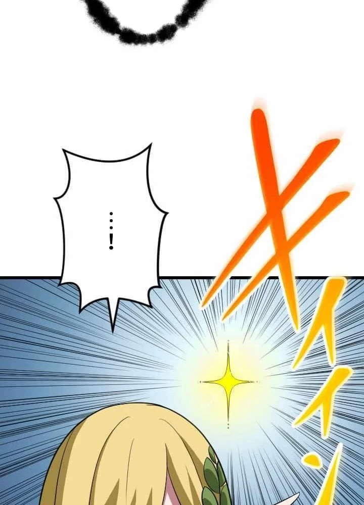 Vô Song Cùng Với Vũ Khí Ẩn Chapter 45 - 107