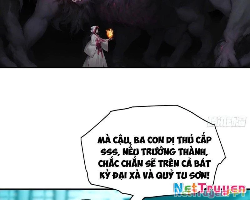 Toàn Dân Ngự Thú: Bắt Đầu Từ Sơn Hải Kinh Ta Quét Ngang Toàn Cầu Chapter 24 - Trang 2