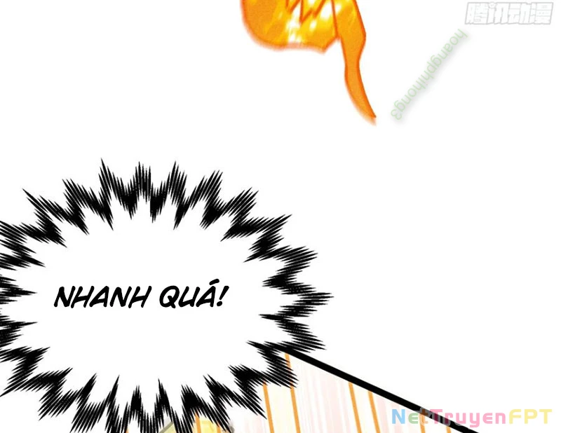 Ta Làm Súc Vật Ở Tu Tiên Giới Chapter 40 - Trang 2