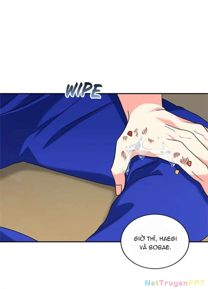 Anh Em Của Tôi Đều Là Nhân Vật Chính Chapter 4 - 67