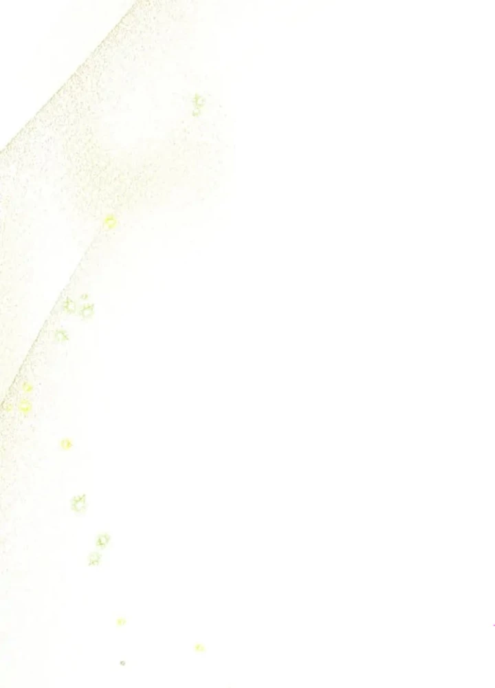 Anh Em Của Tôi Đều Là Nhân Vật Chính Chapter 12 - 149