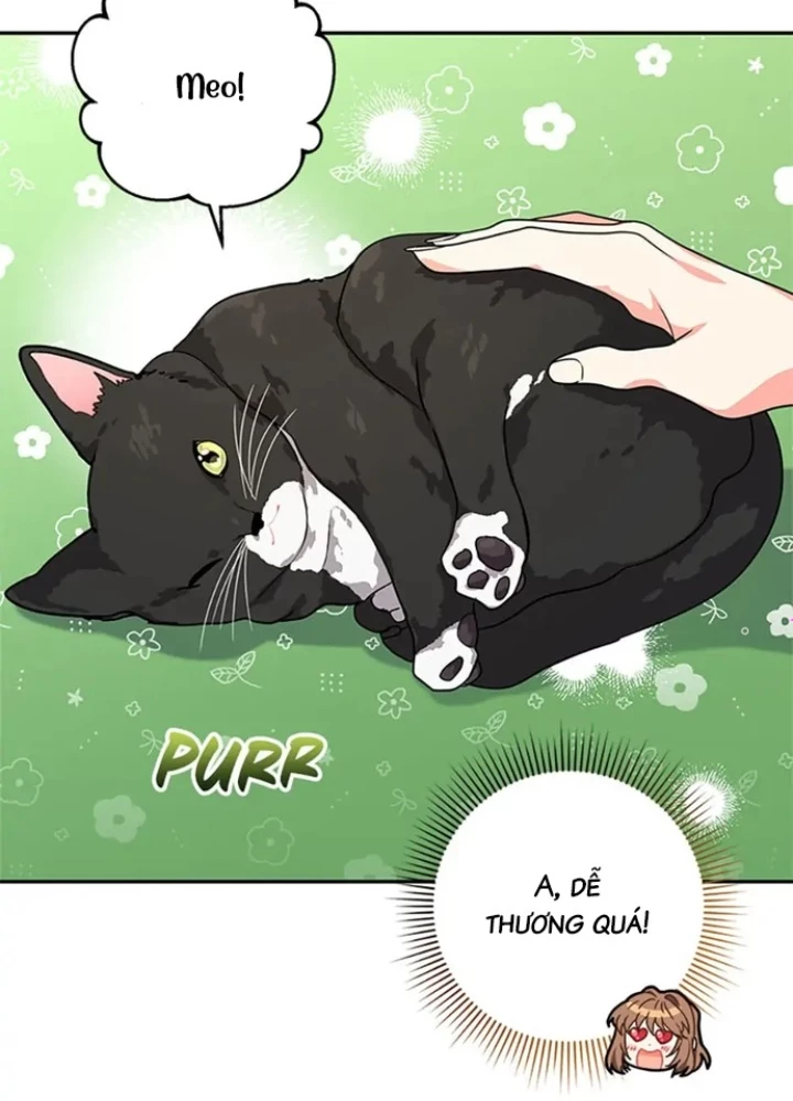 Anh Em Của Tôi Đều Là Nhân Vật Chính Chapter 16 - 53