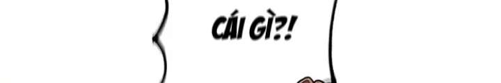 Anh Em Của Tôi Đều Là Nhân Vật Chính Chapter 16 - 166