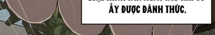 Anh Em Của Tôi Đều Là Nhân Vật Chính Chapter 18 - 97