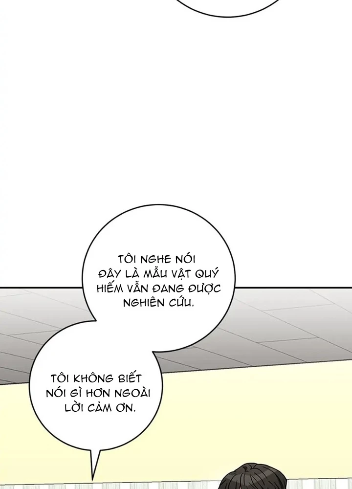 Anh Em Của Tôi Đều Là Nhân Vật Chính Chapter 21 - 101