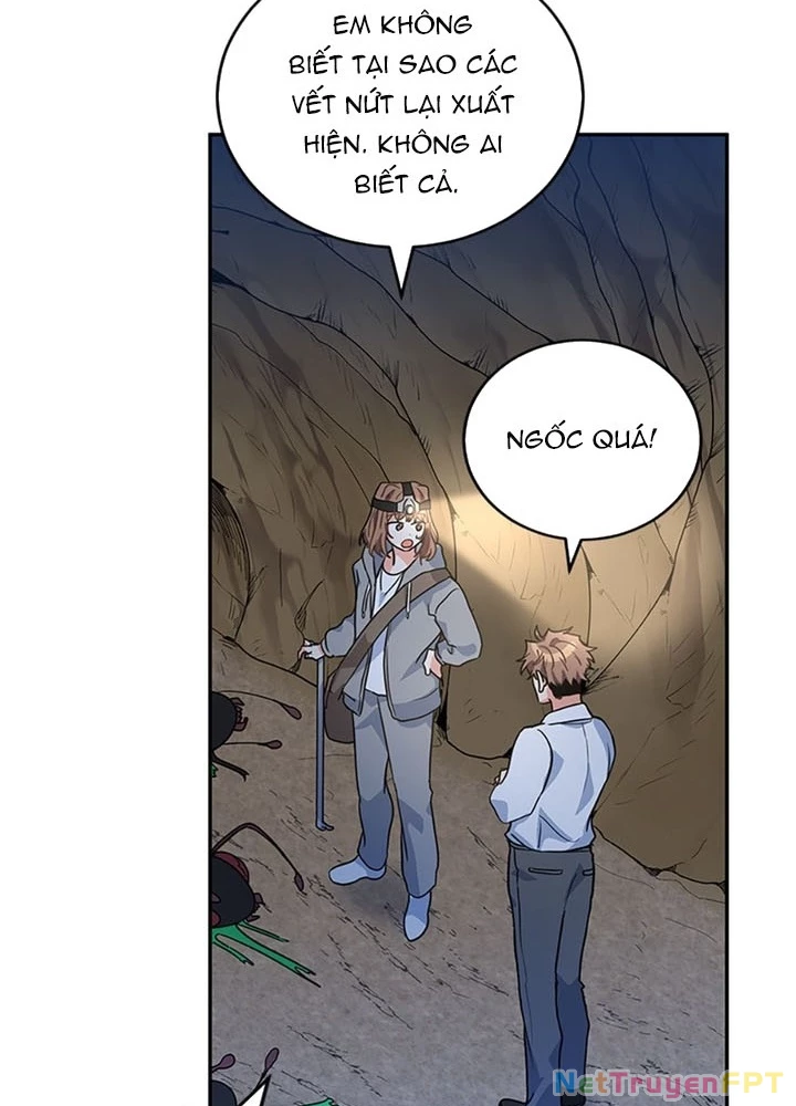 Anh Em Của Tôi Đều Là Nhân Vật Chính Chapter 29 - 261
