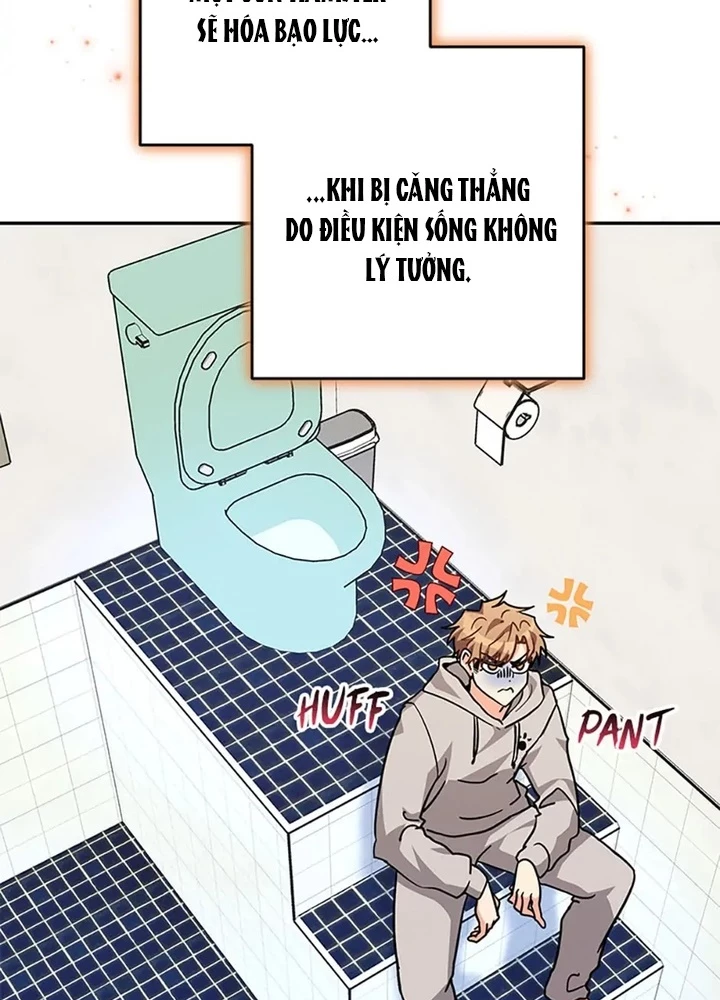 Anh Em Của Tôi Đều Là Nhân Vật Chính Chapter 38 - 49