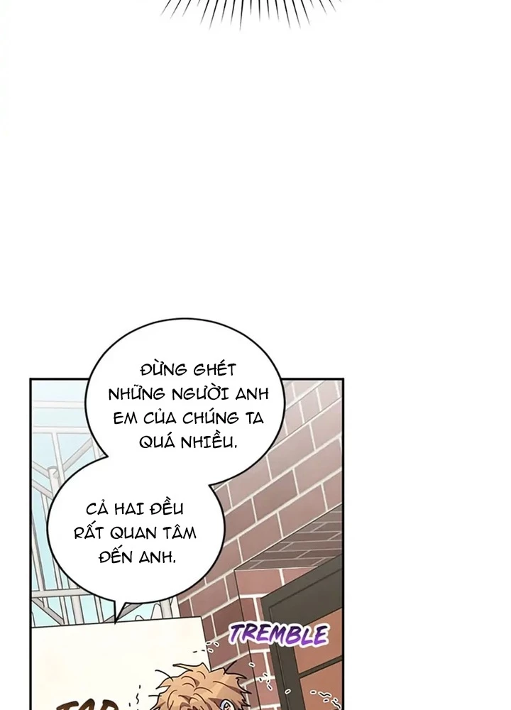 Anh Em Của Tôi Đều Là Nhân Vật Chính Chapter 38 - 243