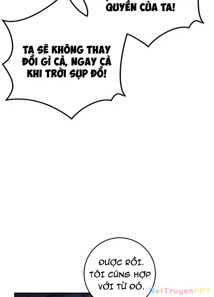 Anh Em Của Tôi Đều Là Nhân Vật Chính Chapter 47 - 247