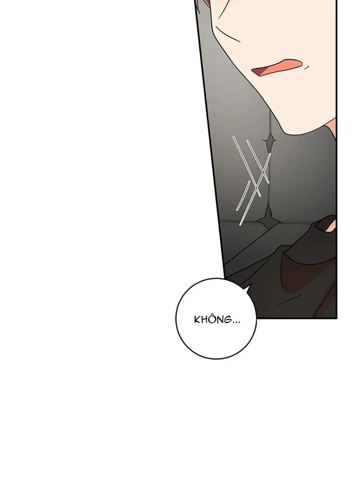 Anh Em Của Tôi Đều Là Nhân Vật Chính Chapter 49 - 265
