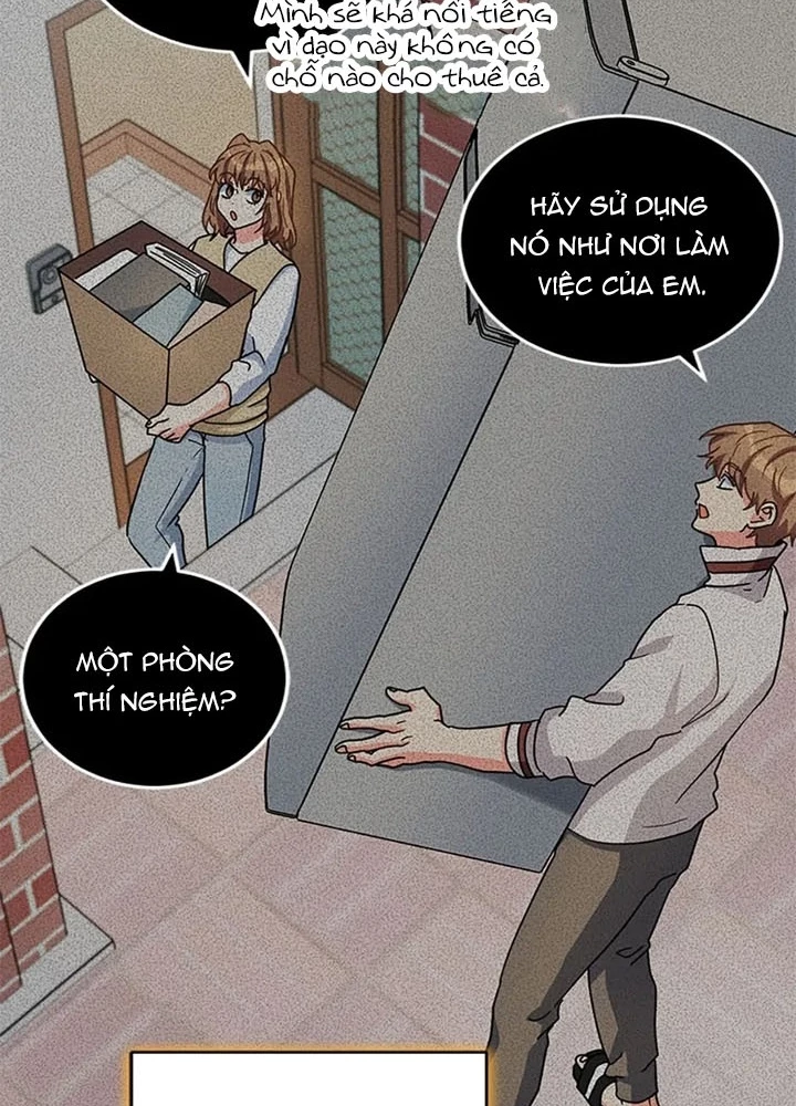 Anh Em Của Tôi Đều Là Nhân Vật Chính Chapter 50 - 81