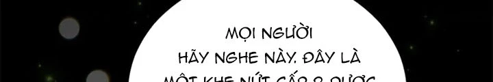 Anh Em Của Tôi Đều Là Nhân Vật Chính Chapter 50 - 158