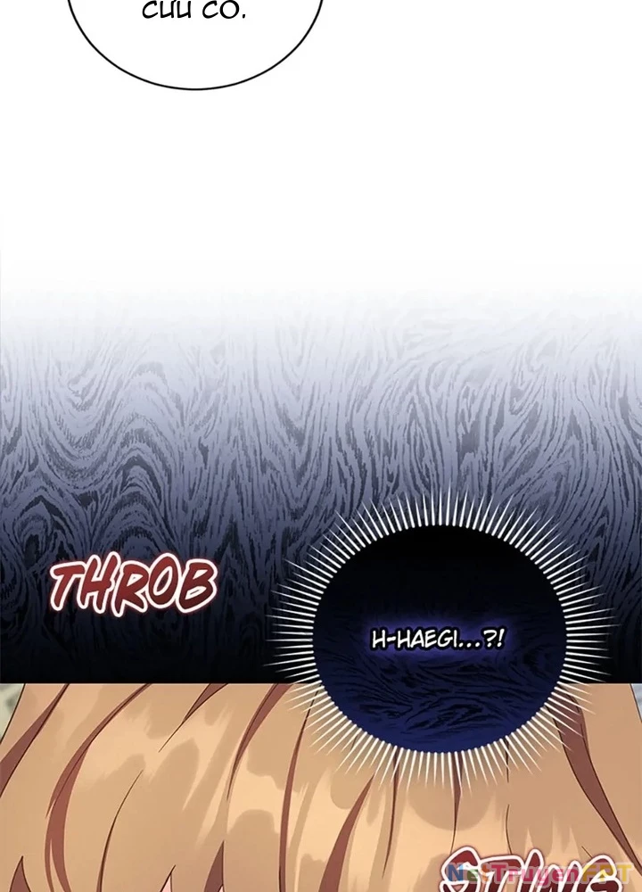 Anh Em Của Tôi Đều Là Nhân Vật Chính Chapter 51 - 67
