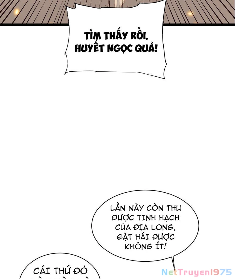 Cao Võ Tiến Hóa: Bắt Đầu Thức Tỉnh Quái Thú Chi Vương Chapter 4 - 22