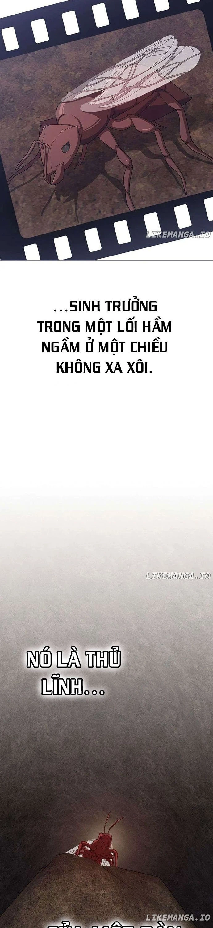 Tôi Là Người Chơi Leo Tháp Một Mình Chapter 210 - 20