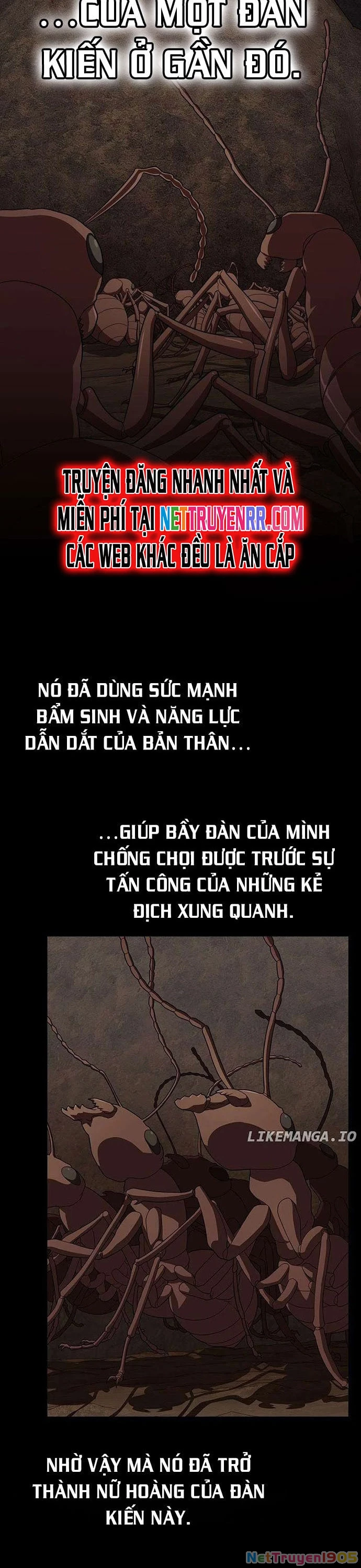 Tôi Là Người Chơi Leo Tháp Một Mình Chapter 210 - 21