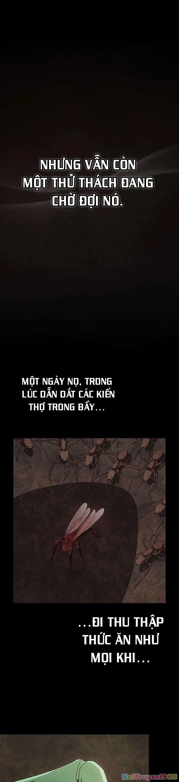 Tôi Là Người Chơi Leo Tháp Một Mình Chapter 210 - 22