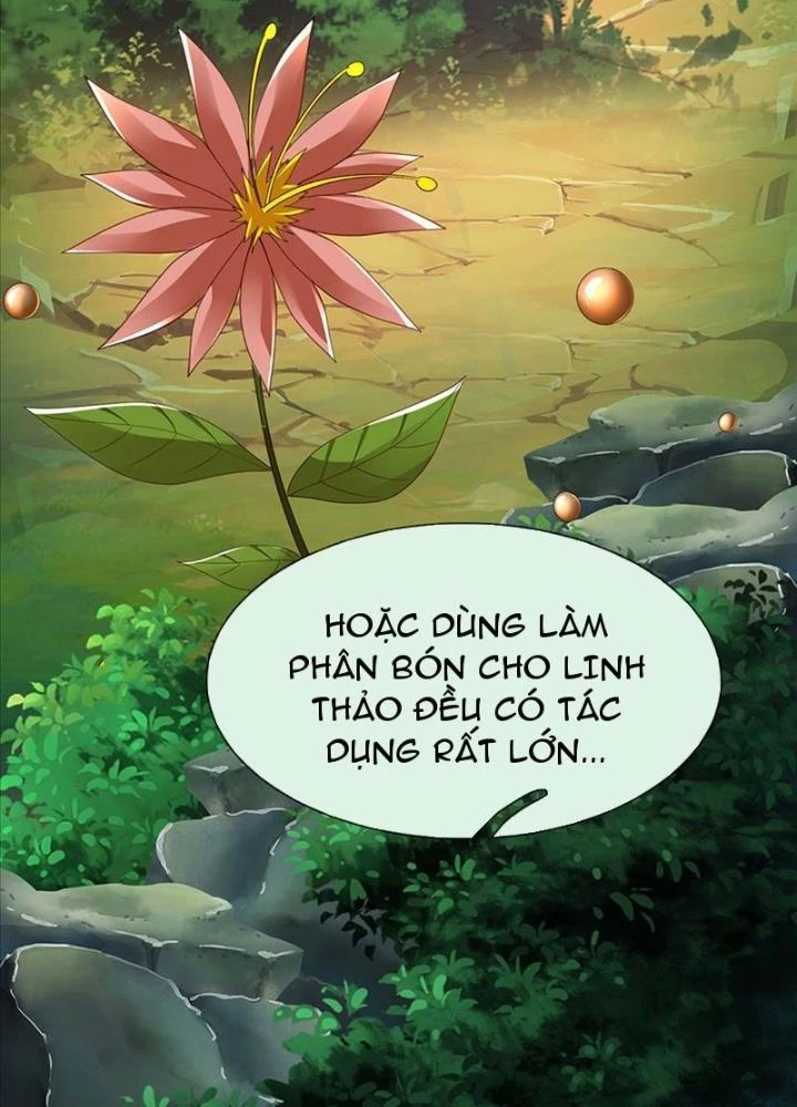 Ta Có Thể Cướp Đoạt Cơ Duyên Chapter 2 - 13