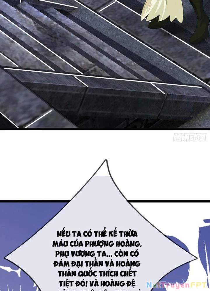 Ta Có Thể Cướp Đoạt Cơ Duyên Chapter 33 - 67