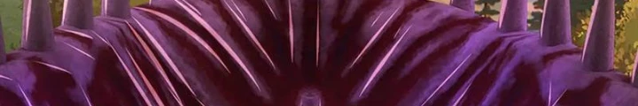 Ta Có Thể Cướp Đoạt Cơ Duyên Chapter 52 - 122
