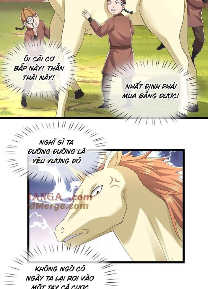 Ta Có Thể Cướp Đoạt Cơ Duyên Chapter 67 - 38