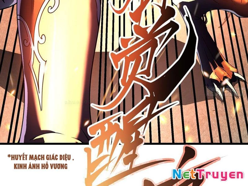 Cao Võ Tiến Hóa: Bắt Đầu Thức Tỉnh Quái Thú Chi Vương Chapter 6 - 51