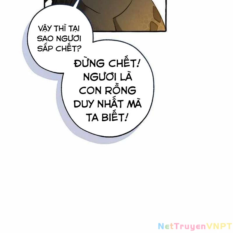 Phế Vật Dòng Dõi Bá Tước Chapter 146 - 13