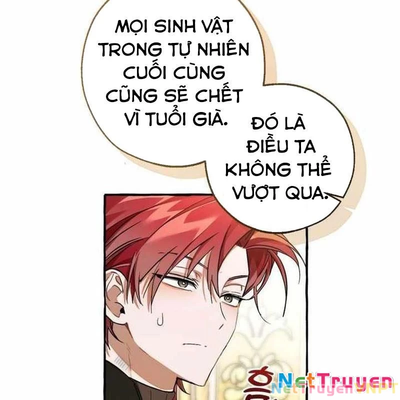 Phế Vật Dòng Dõi Bá Tước Chapter 146 - 16