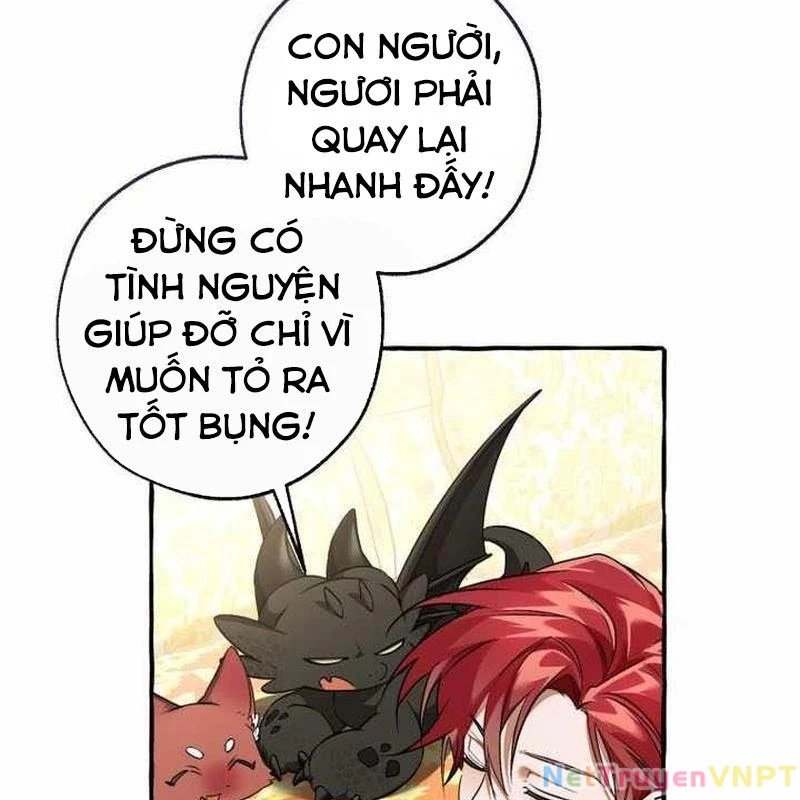 Phế Vật Dòng Dõi Bá Tước Chapter 146 - 60