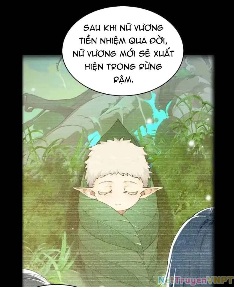 Thánh Nữ, Xin Hãy Dừng Ngay Những Trò Quái Đản Của Cô Đi!! Chapter 123 - Trang 2