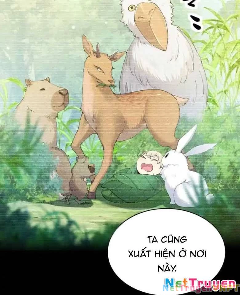 Thánh Nữ, Xin Hãy Dừng Ngay Những Trò Quái Đản Của Cô Đi!! Chapter 123 - Trang 2