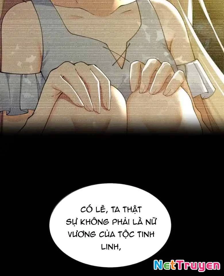 Thánh Nữ, Xin Hãy Dừng Ngay Những Trò Quái Đản Của Cô Đi!! Chapter 123 - Trang 2
