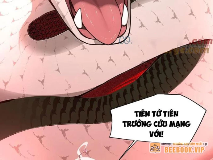 Tu chân trăm vạn năm: Đệ tử của ta trải rộng tiên giới Chapter 23 - Trang 2