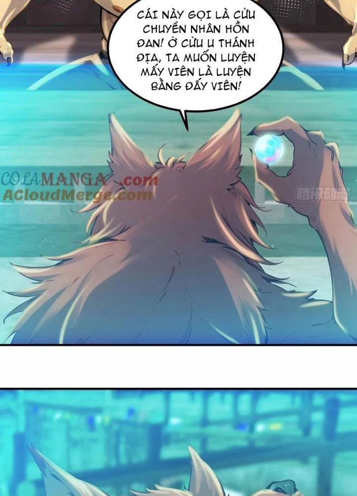 Tu chân trăm vạn năm: Đệ tử của ta trải rộng tiên giới Chapter 49 - Trang 2