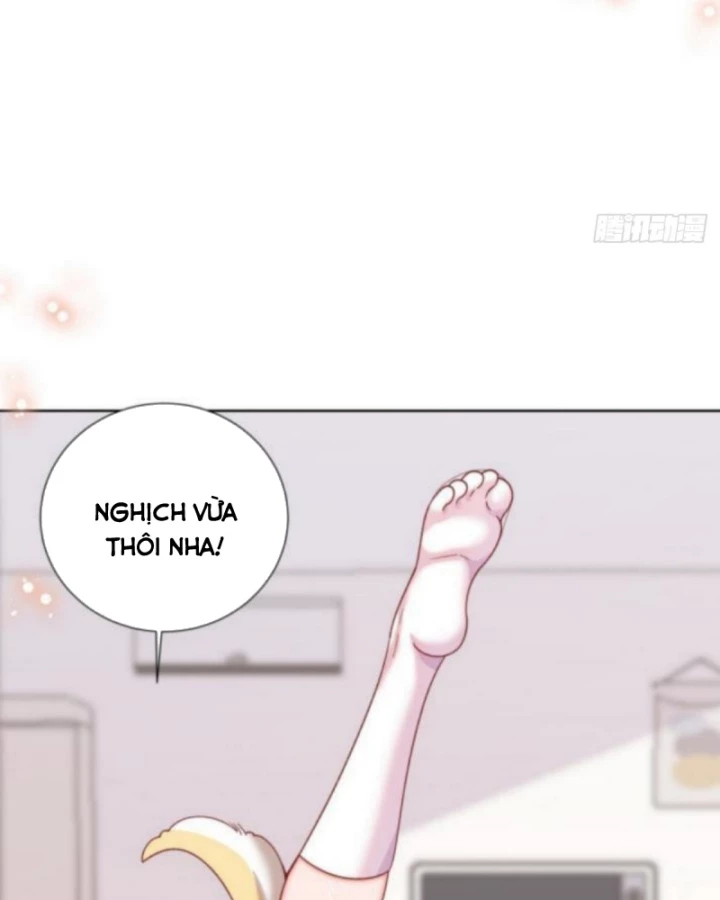 Kế Hoạch Nuôi Dưỡng Streamer Của Cẩu Hoàng Chapter 14 - Trang 2