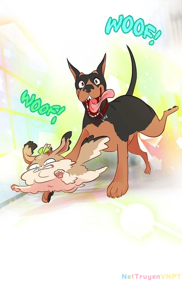 Chú Cún Của Em Thật Đáng Yêu Chapter 37.2 - Trang 2