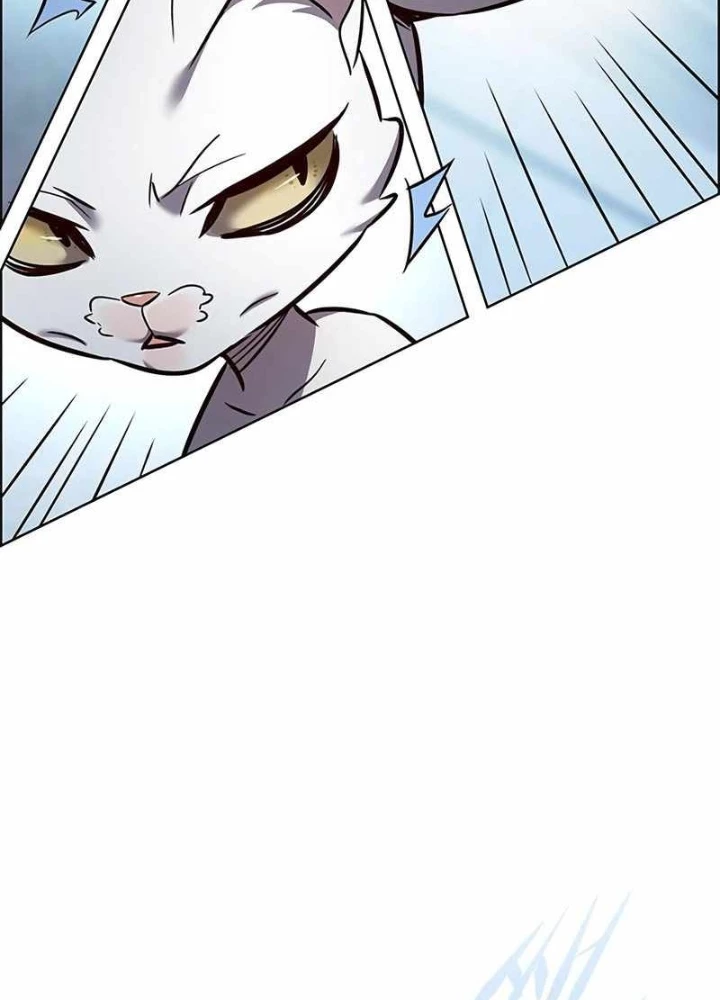 Hoá Thân Thành Mèo Chapter 343 - 207