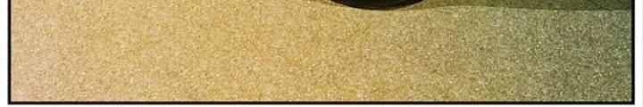 Cửa Hàng Đồ Cổ Tương Lai Chapter 14 - 154