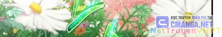 Thần Khí Huyền Thoại Của Người Chơi Thiên Tài Chapter 36 - Trang 2