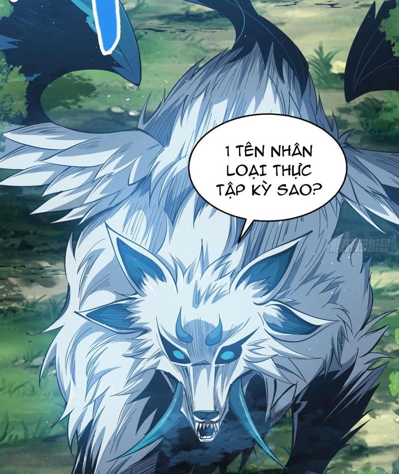 Ta Thành Vương Giả Từ Khắc Kim Chapter 3 - Trang 2