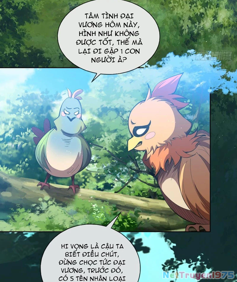 Ta Thành Vương Giả Từ Khắc Kim Chapter 3 - Trang 2