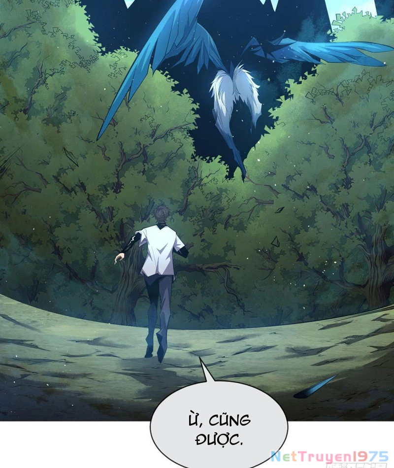 Ta Thành Vương Giả Từ Khắc Kim Chapter 4 - Trang 2